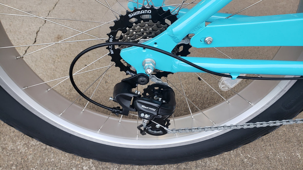 Fat Tuesday Low Step Cruiser